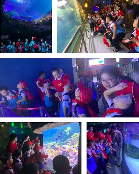 1568949156489443.jpg 03.jpg